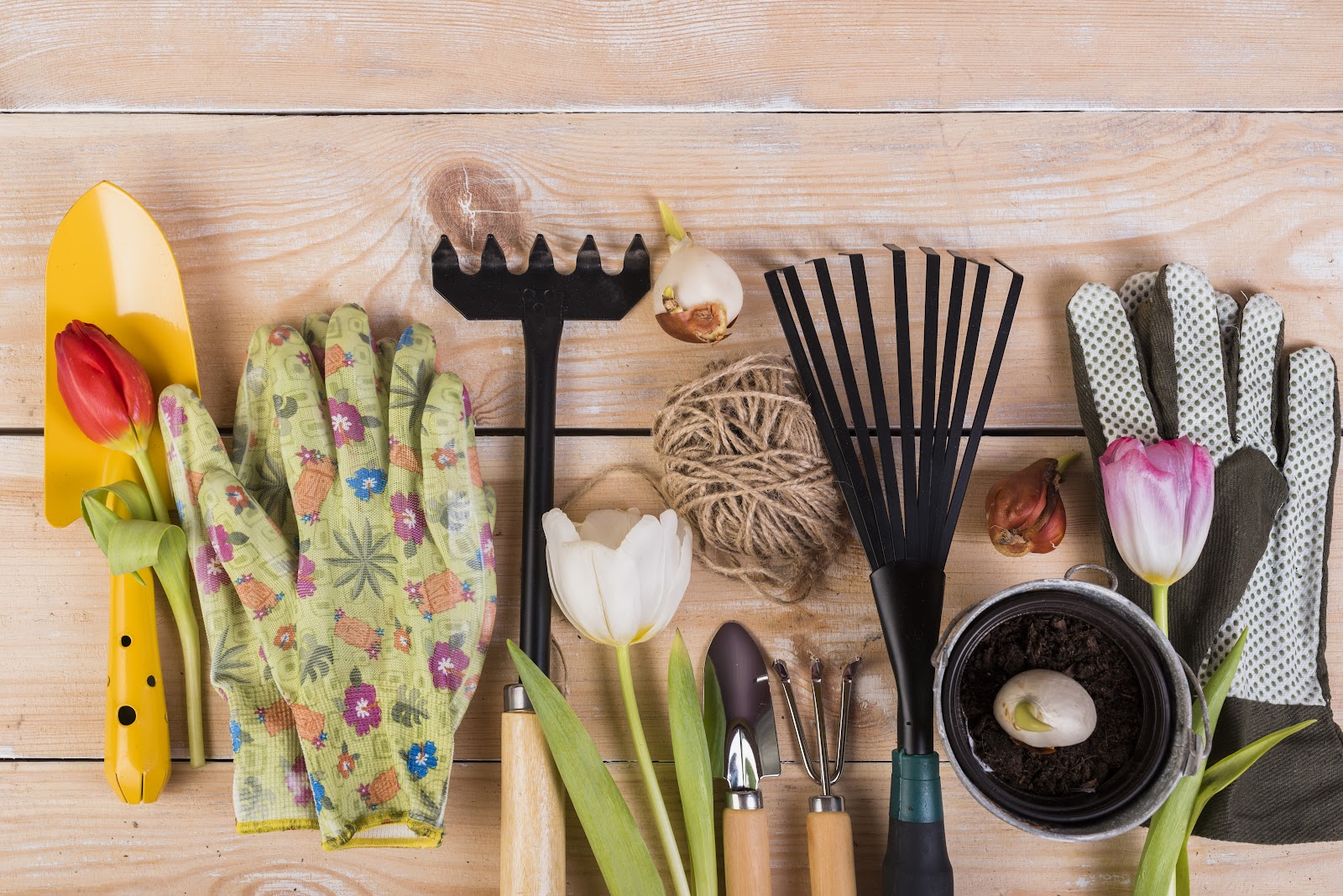 Preparando seu Jardim para o Verão: Conheça as Melhores Ferramentas