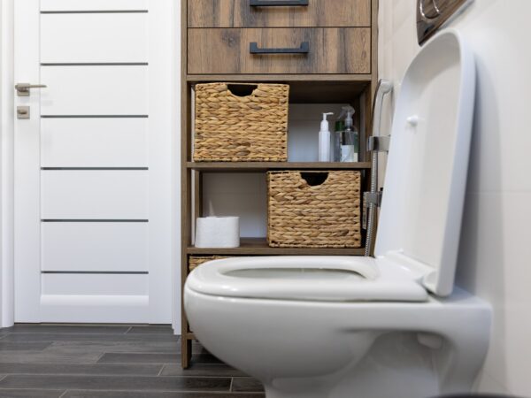 Quais os melhores tipos de bacia sanitária para seu banheiro?